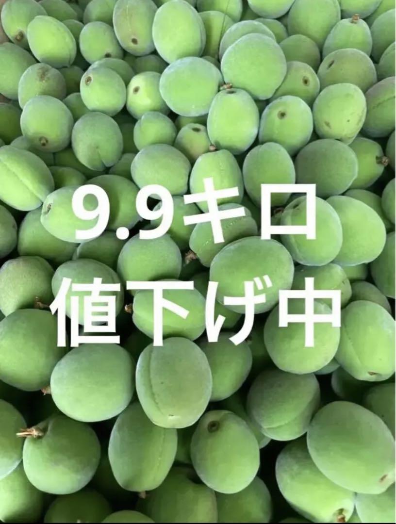 豊後梅，青梅9.9キロ箱込み，小玉