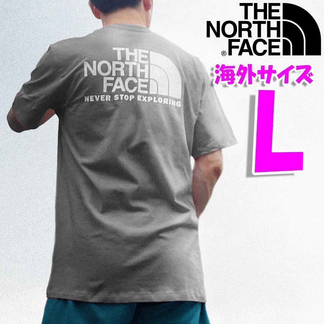 ノースフェイス バックプリント Tシャツ グレー 海外L 日本LL