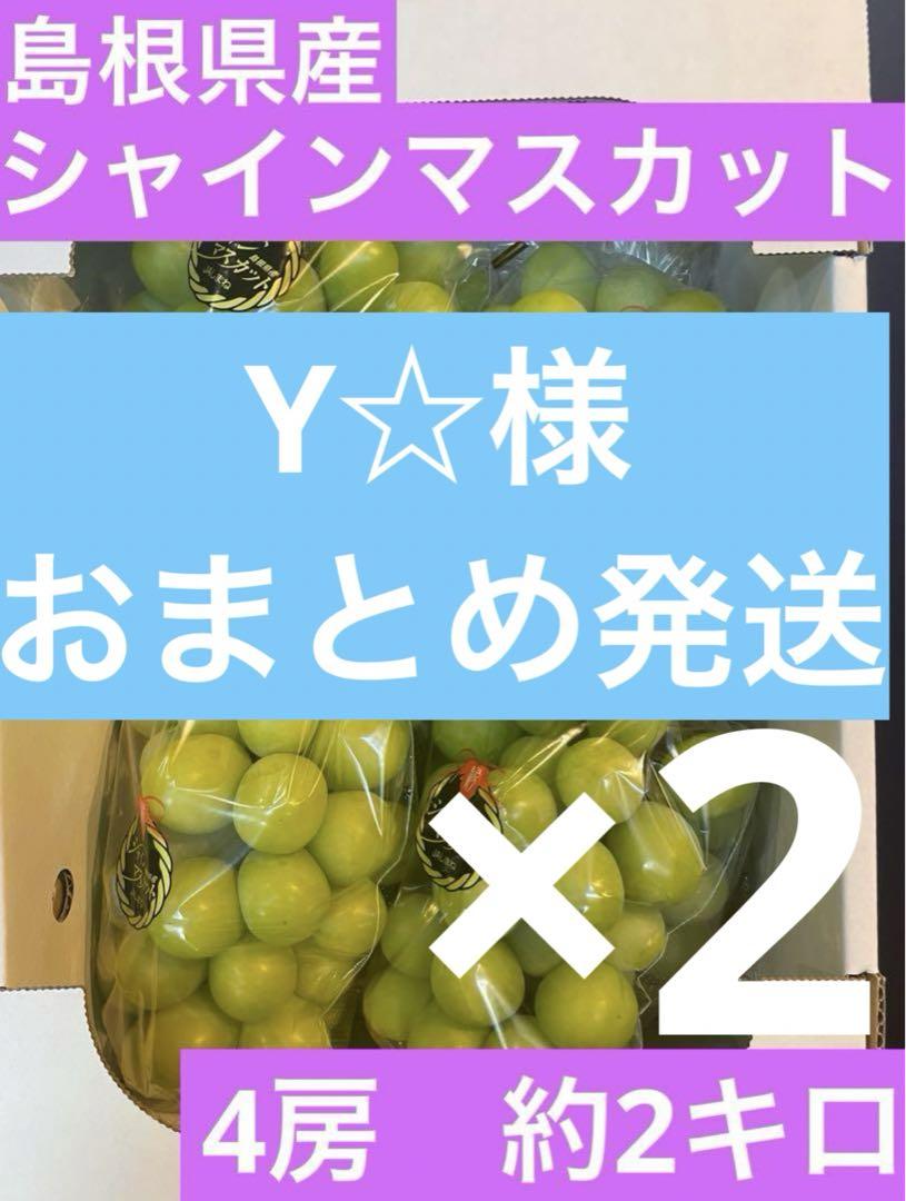 12.13 【島根県産】シャインマスカット　 4房　約2キロ×2