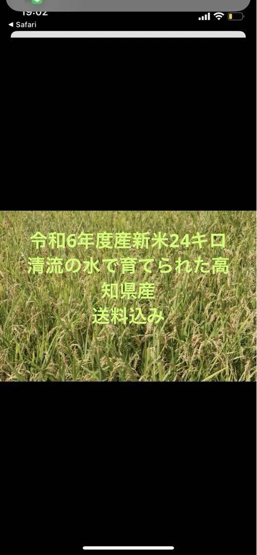 高知県産✨「令和6年度産新米」✨24キロ