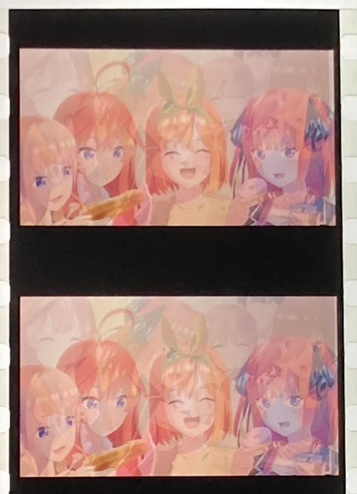 劇場版 五等分の花嫁 入場特典 コマフィルム 中野 一花 二乃 三玖 四葉