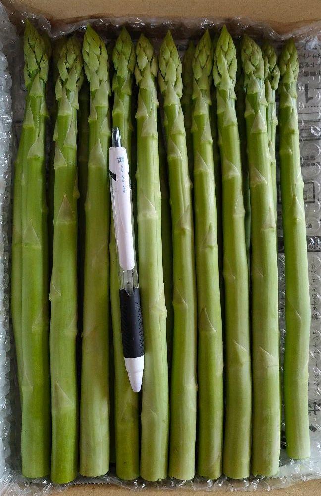 グリーンアスパラガス 500g 新鮮野菜 - メルカリ グリーンアスパラガス 500g 新鮮野菜 - メルカリ
