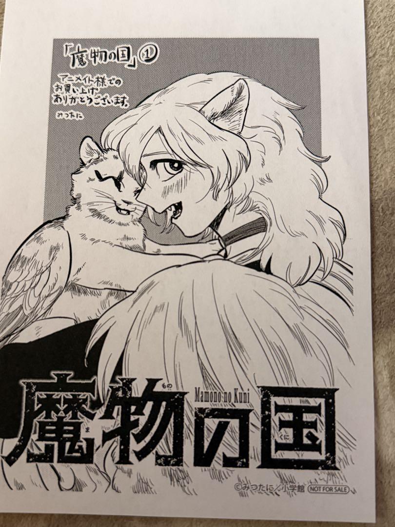 魔物の国 1巻 アニメイト 特典 イラストペーパー - メルカリ