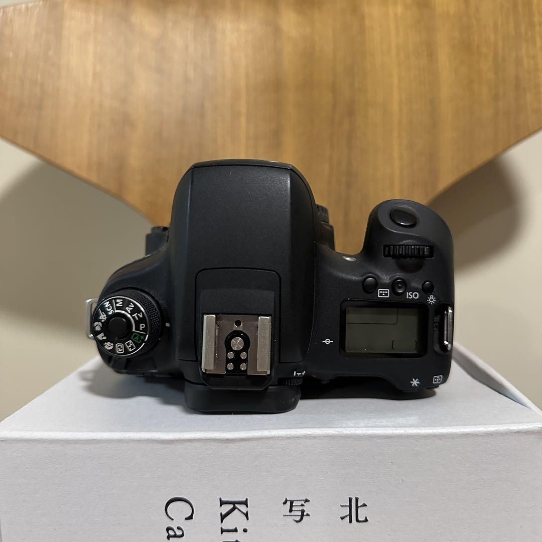 8000D ボディ