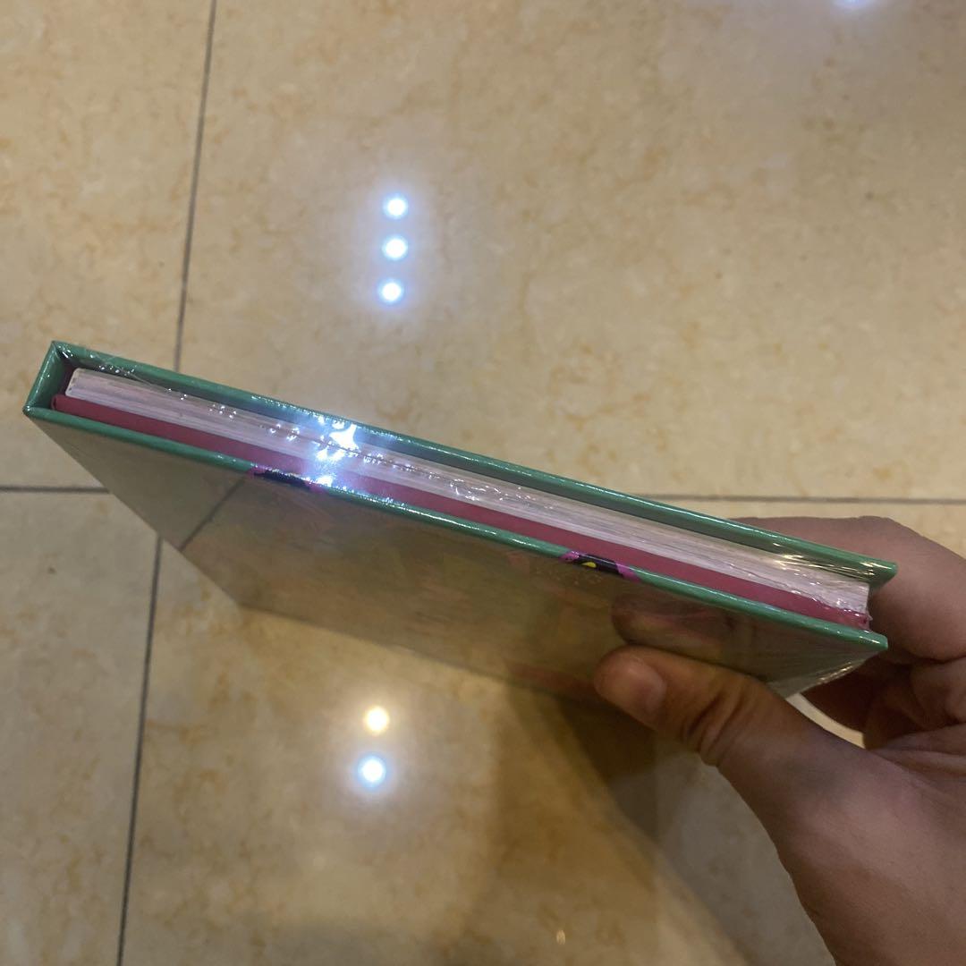 The ReVe Festival Finale Scrapbook 新品未開封