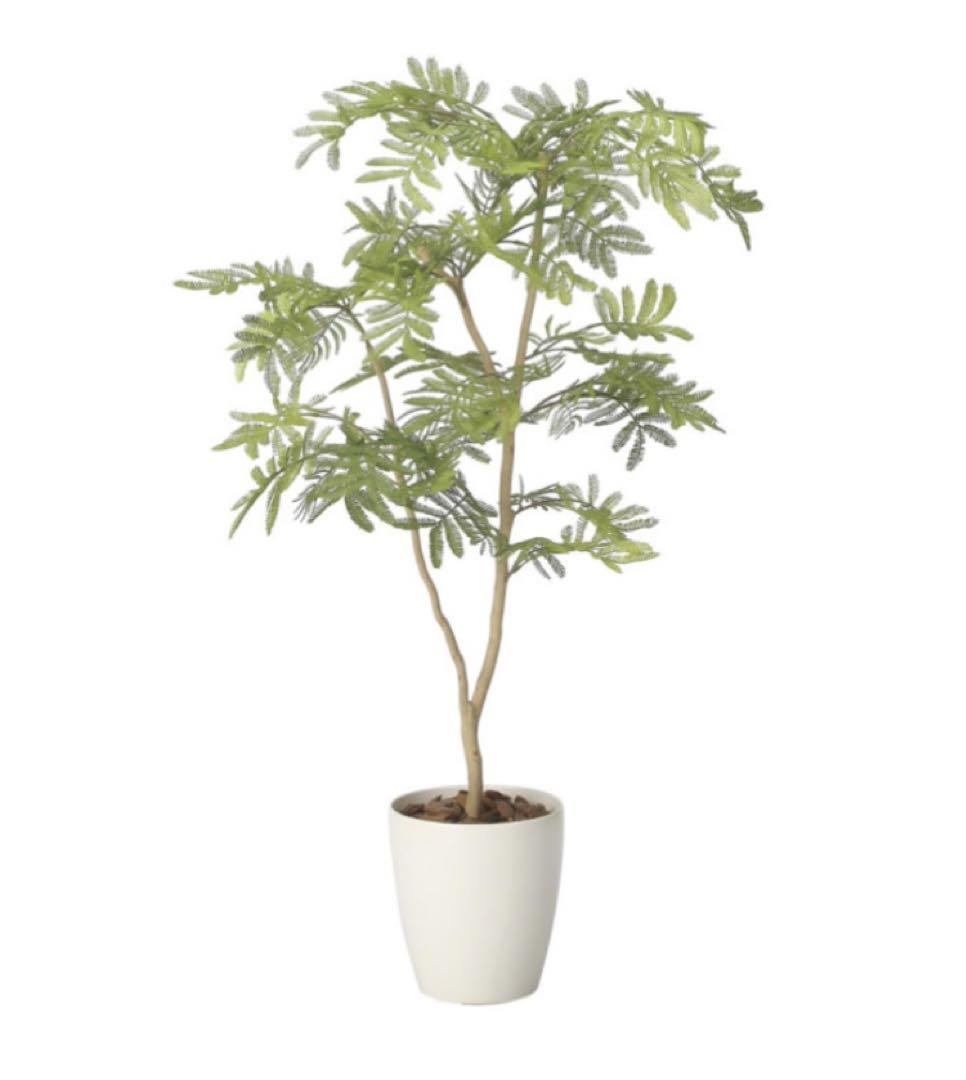 人工観葉植物 ウォールグリーン