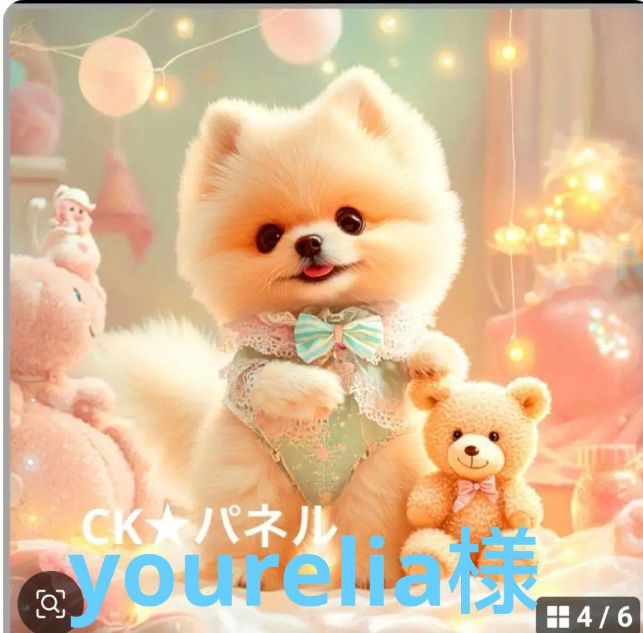 89 ☆オーダーページ☆ハンカチ ポメラニアン柄4/28