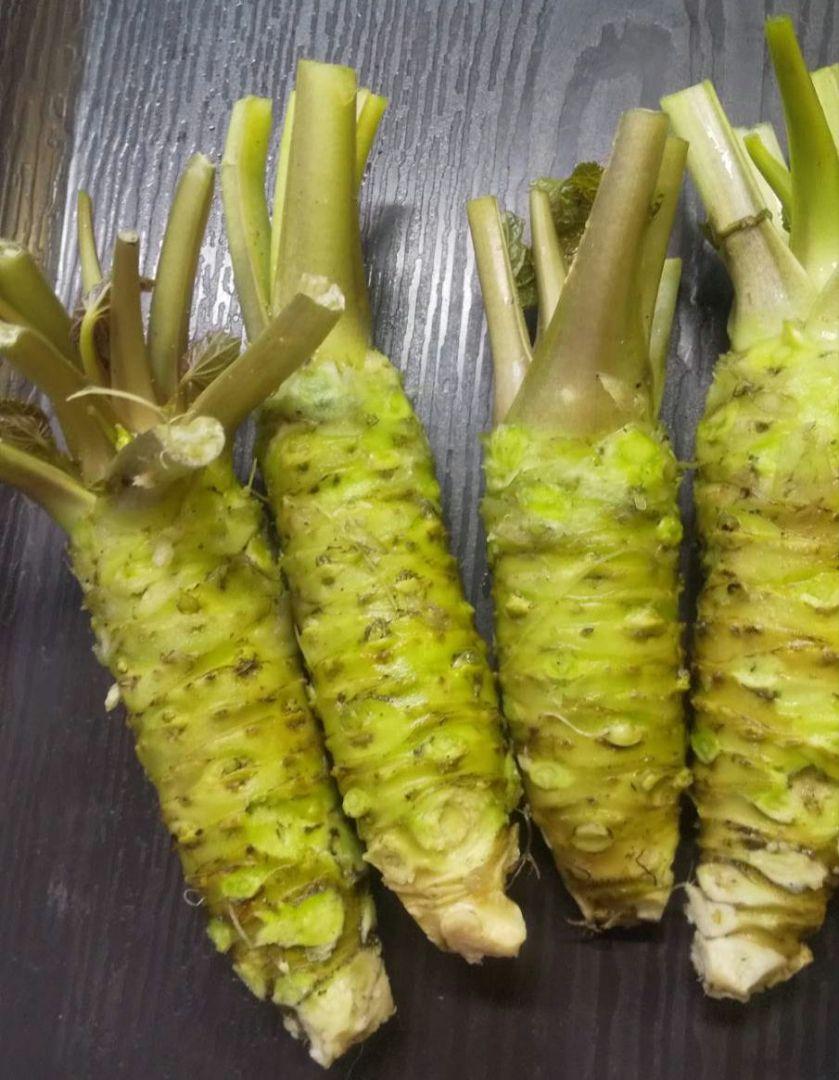 生わさび