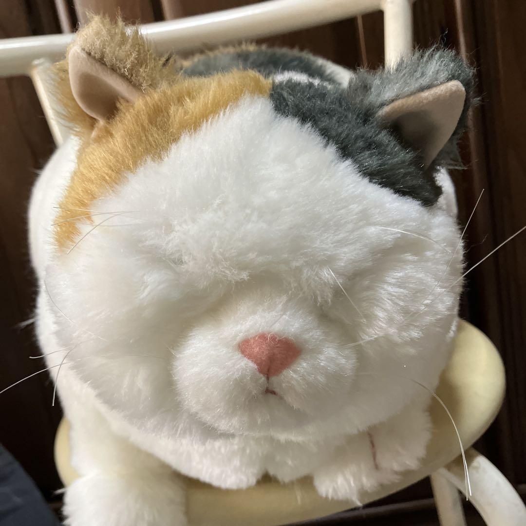 カドリー　マリア　ミケ猫 ぬいぐるみ