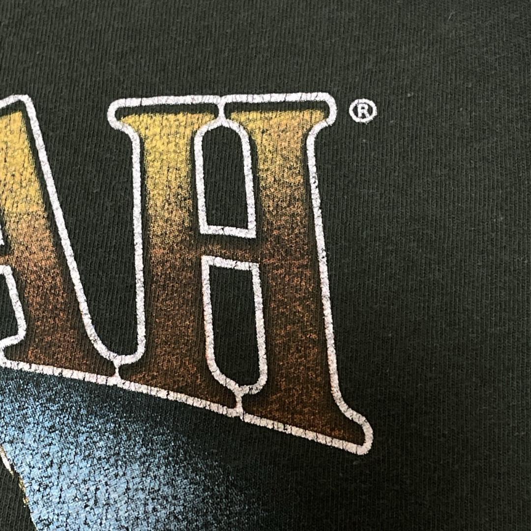 AALIYAH アリーヤ グリーン XL バンT バンドTシャツ 90s 古着
