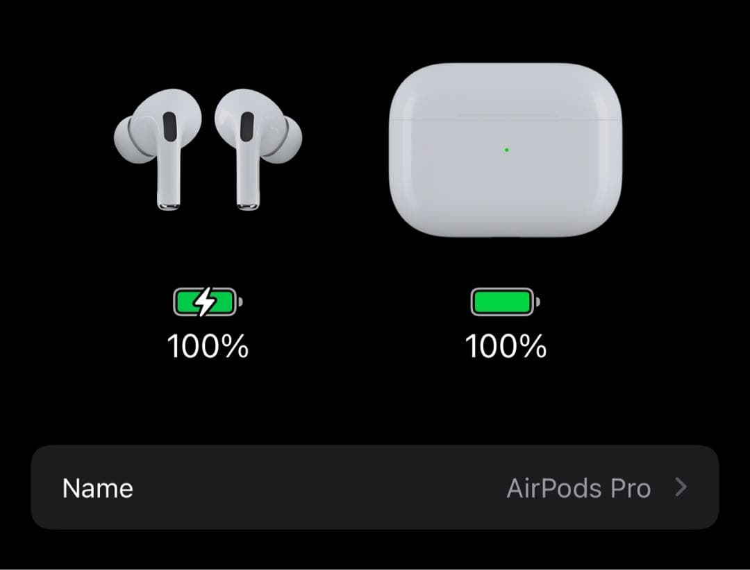 AirPodsPro本体 アップル