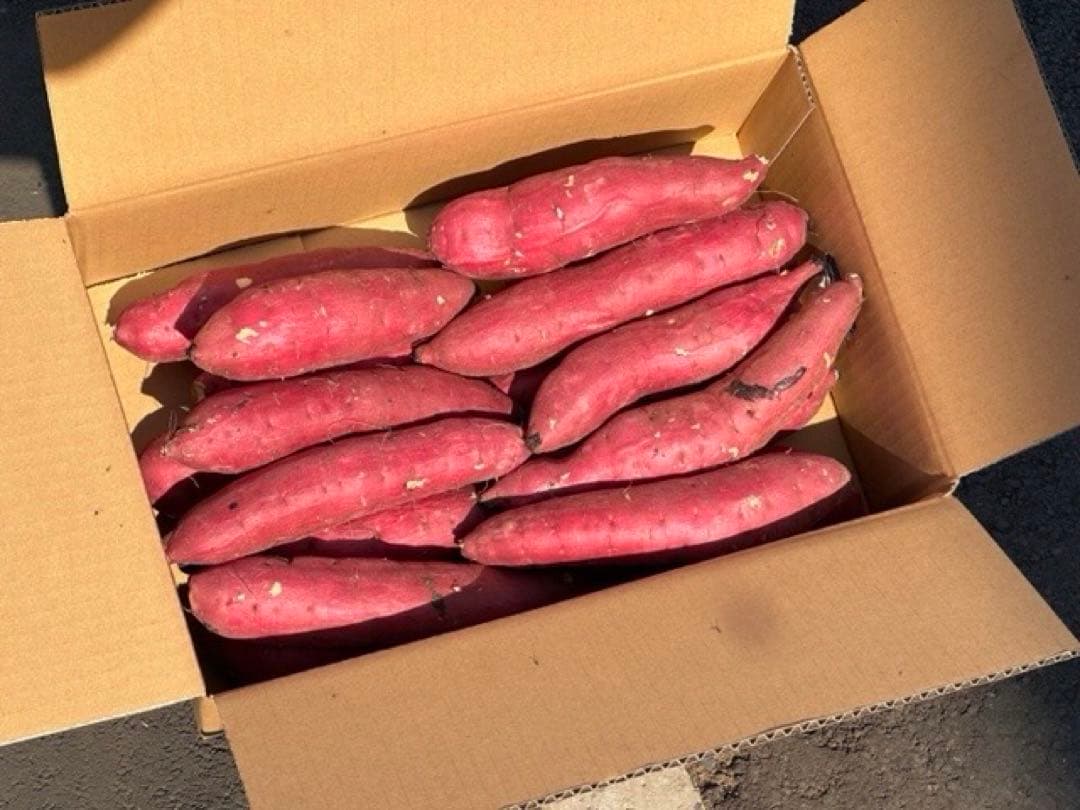 茨城県産 熟成紅はるかMサイズ5kg箱込み さつまいも 60 - メルカリ