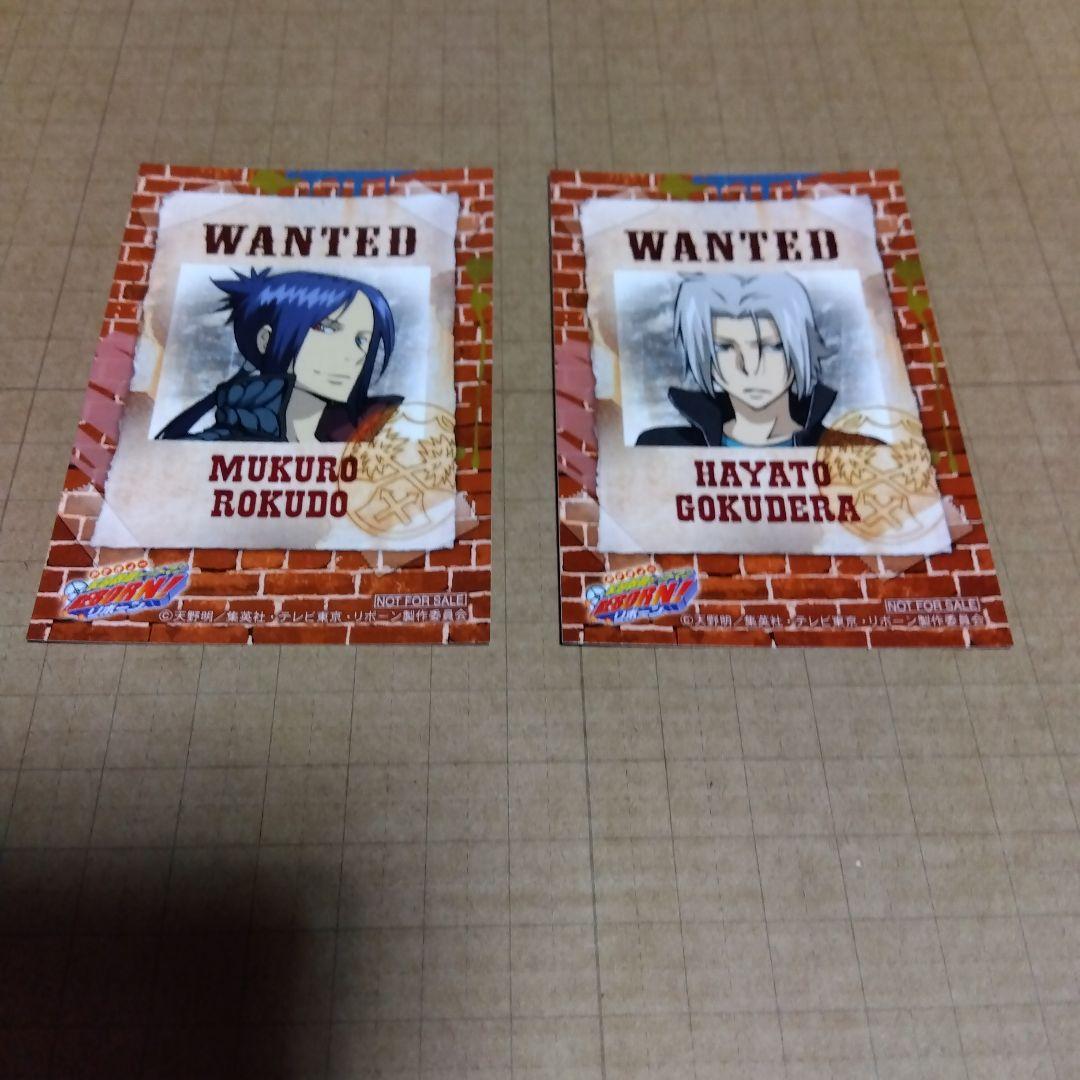 家庭教師ヒットマンREBORN!　アニメイト　非売品シール付きカード　骸　獄寺