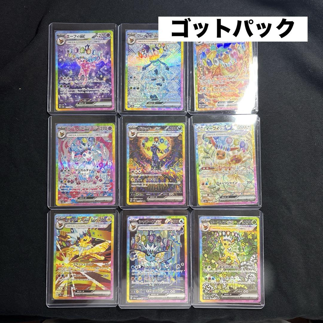 [美品]テラスタルフェス　ゴットパック　ブイズ SAR