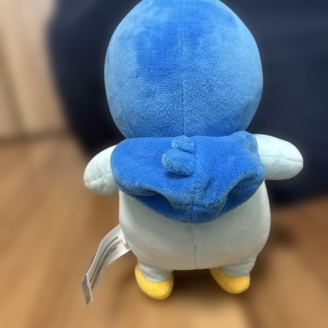 ポケモンセンター　ポケモンキャンバス　ポッチャマ　ポケドール　ぬいぐるみ ぬいぐるみ ポッチャマ ポケモンキャンバスぬいぐるみ