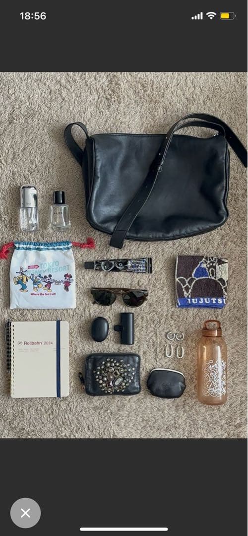 【新品未使用】ear PAPILLONNER　スワローマチショルダーバッグ