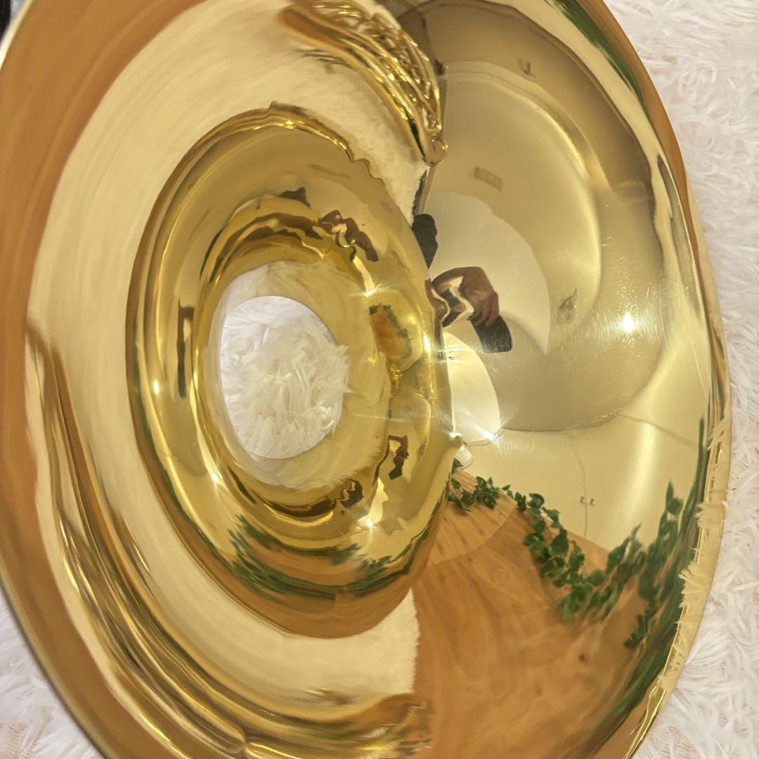 【希少】プレイテック フルダブルホルン PTHR 300 中古現状品