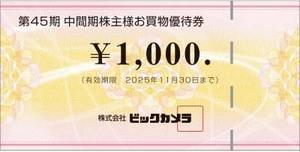 ビックカメラ 株主優待券 ¥5,000