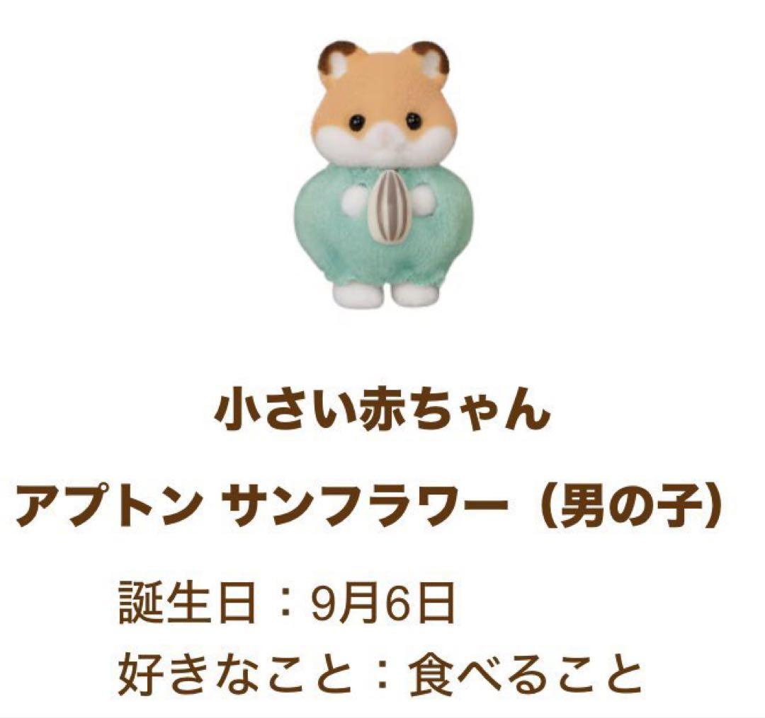148@オーダー受付中様、確認用