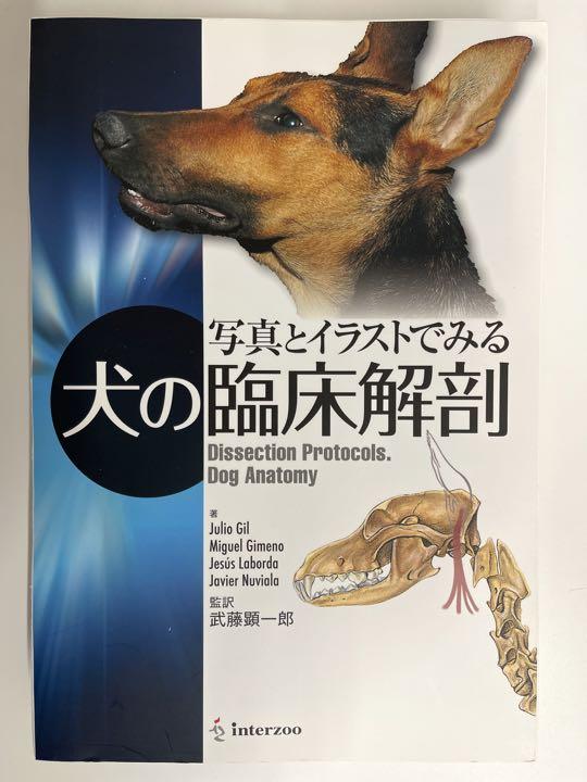 イラストでみる犬と猫の骨・関節へのアプローチ 健康 | red-village.com イラストでみる犬と猫の骨・関節へのアプローチ 健康 | red-village.com