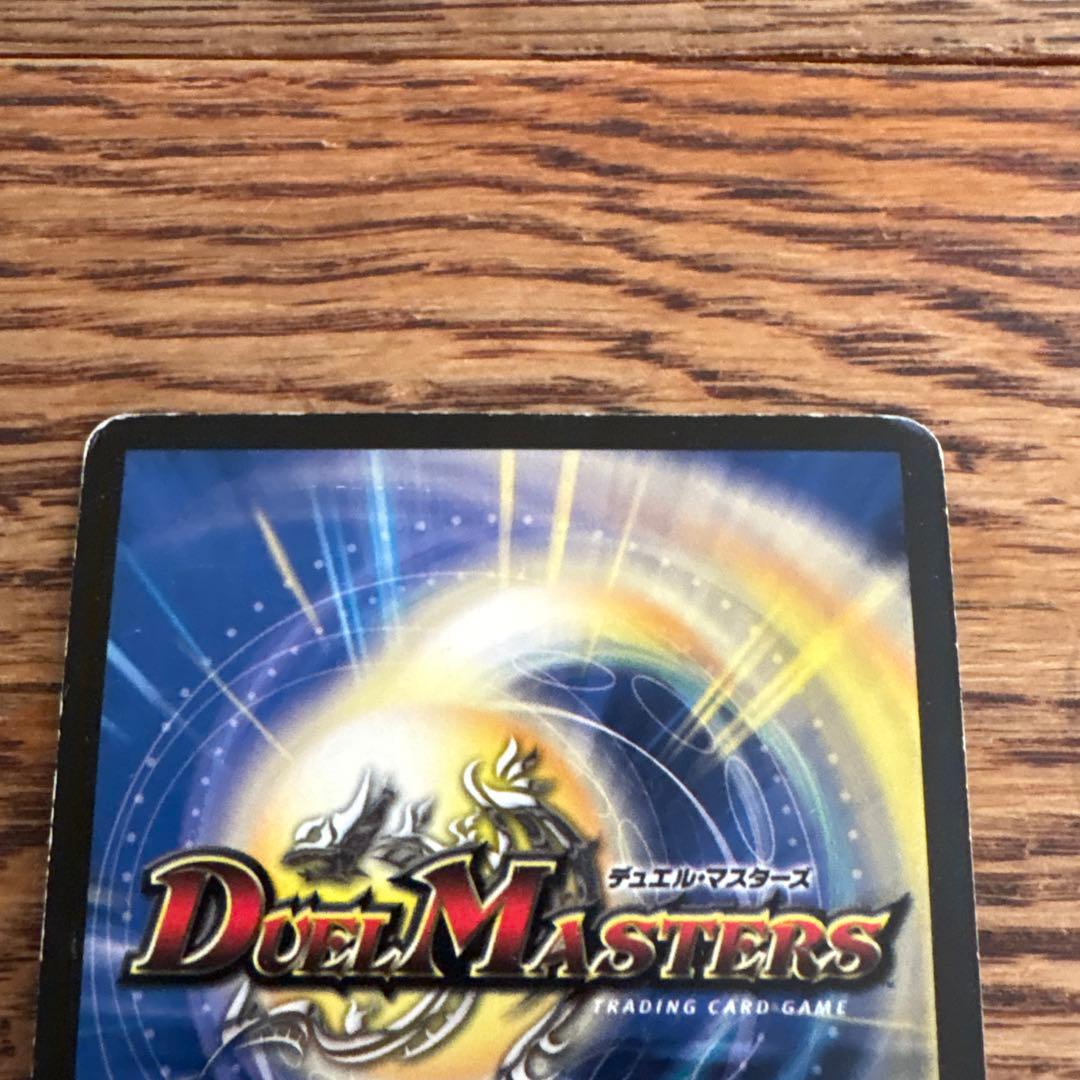 聖鎧亜 キング アルカディアス シークレット シク 初期やや傷や汚れあり UP786_INFO