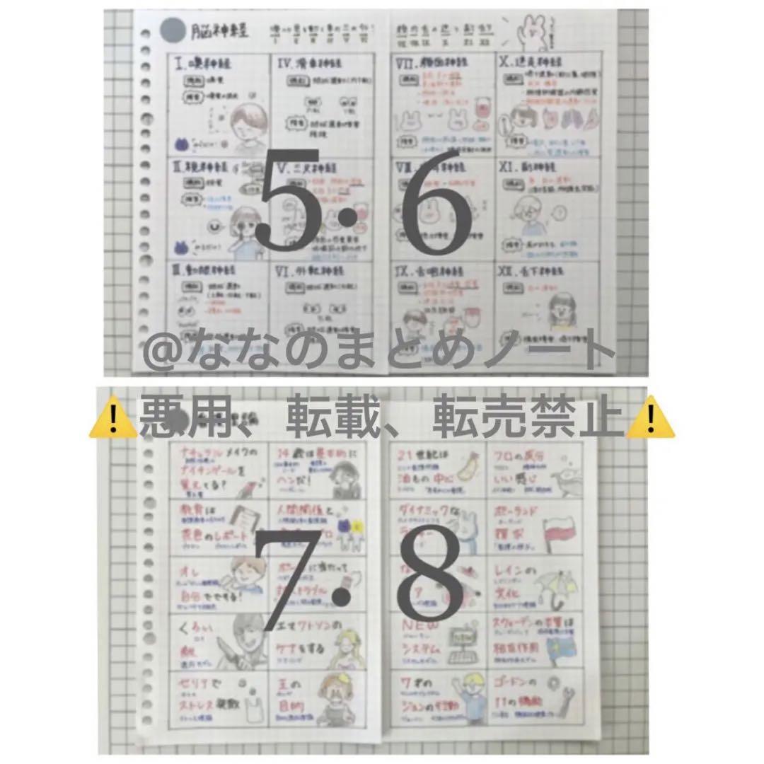 解剖生理+重要項目+頻出疾患まとめノート 3セット