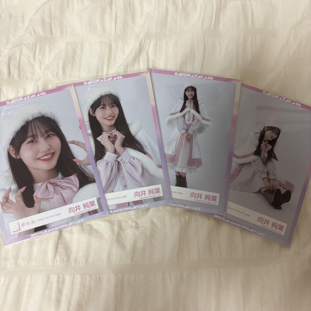 【最終値下げ】櫻坂46 向井純葉 直筆 生写真 クリスマス衣装2023 ヨリ 櫻坂46 向井純葉 直筆サイン入り生写真 - メルカリ