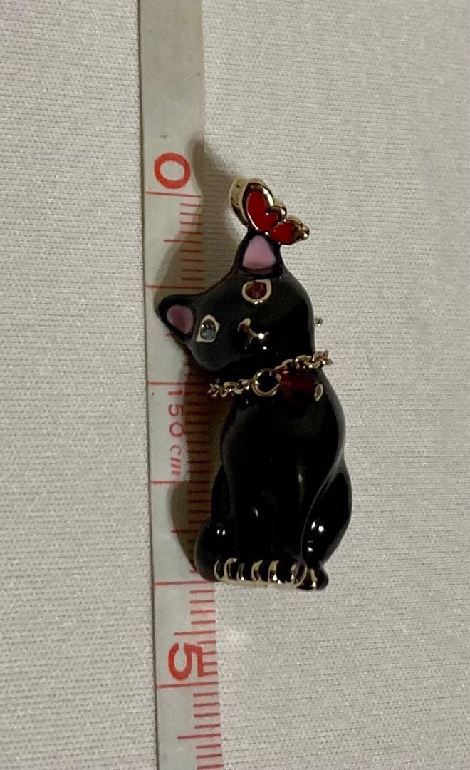 ANNA SUI ブローチ 黒猫モチーフ アナスイ 新品 | www.voiceofslum.org