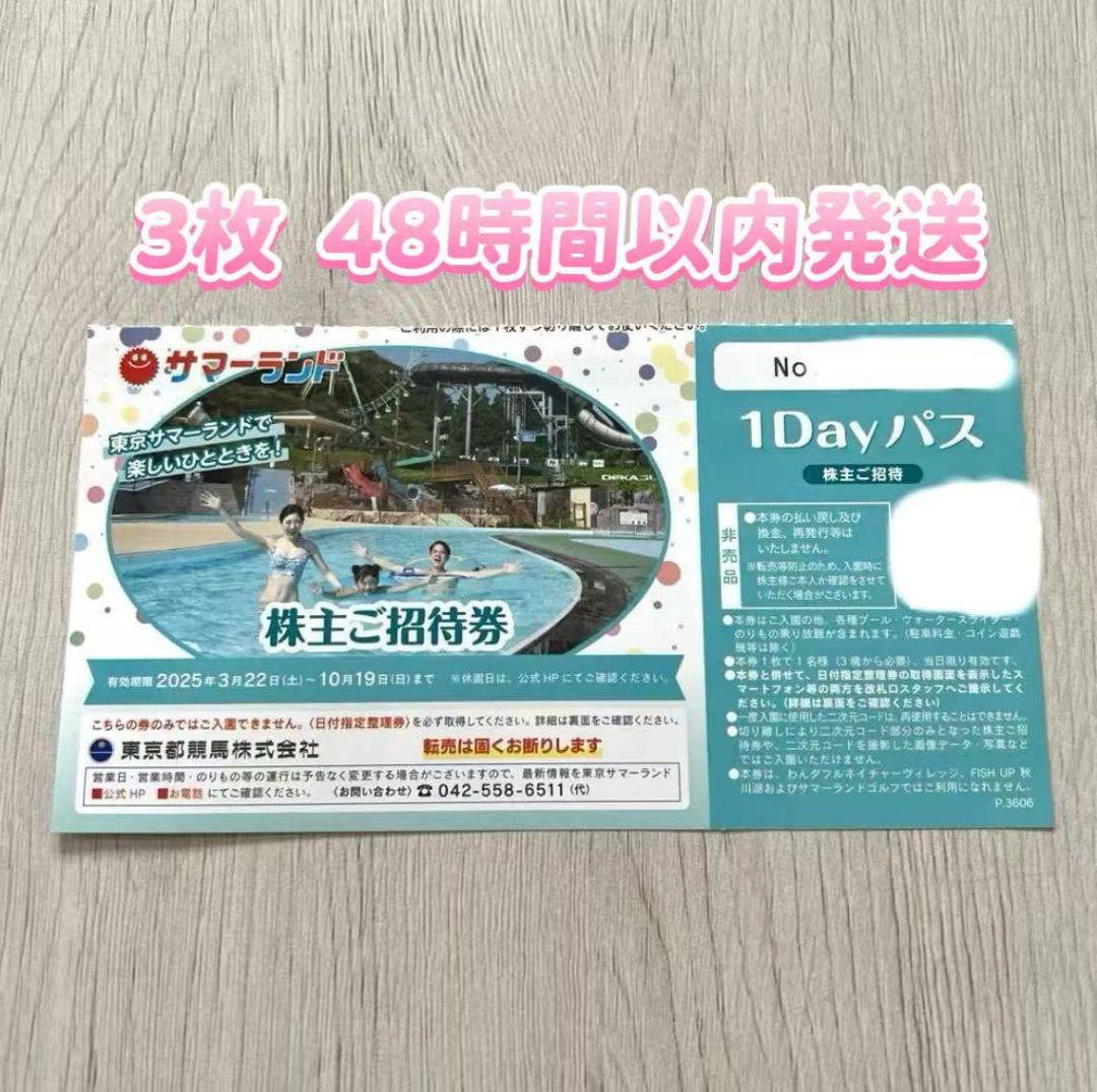 東京サマーランド　株主ご招待券　3枚