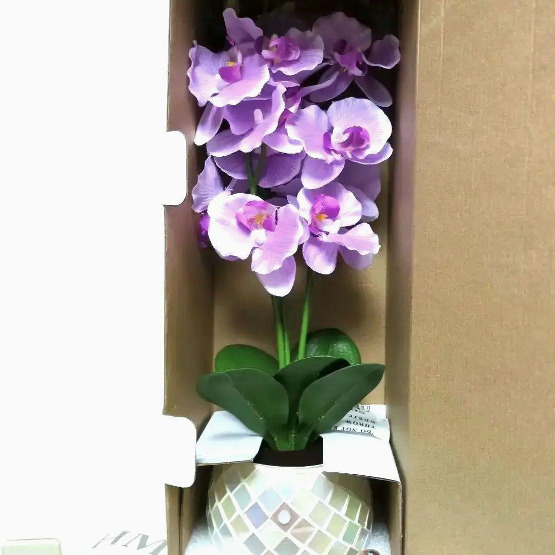 [新品・未開封］フォルモサフラワー　　胡蝶蘭　人感センサー機能付き高級造花