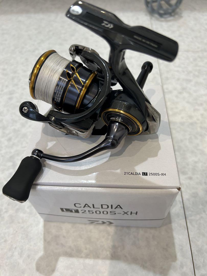 ダイワ　21カルディア　 LT 2500 S- XH DAIWA 21カルディア LT2500S-XHの最安値・インプレ・釣果 | 本音