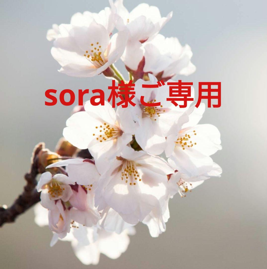 sora様専用 225,000円