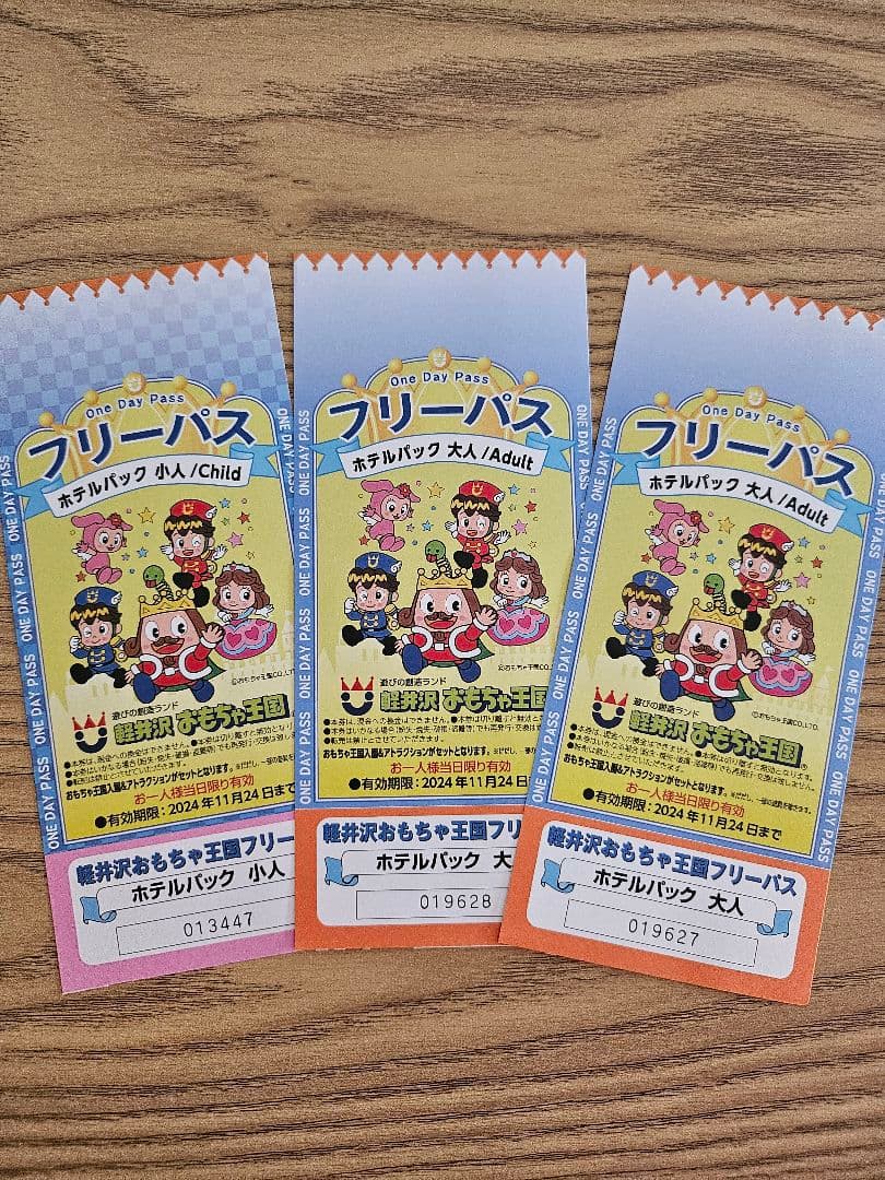 おもちゃ王国 フリーパス 大人・子供用 各種