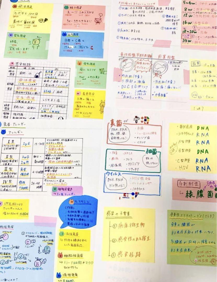 激安‼️ 看護師国家試験まとめノート 付箋ノート 国試 解剖