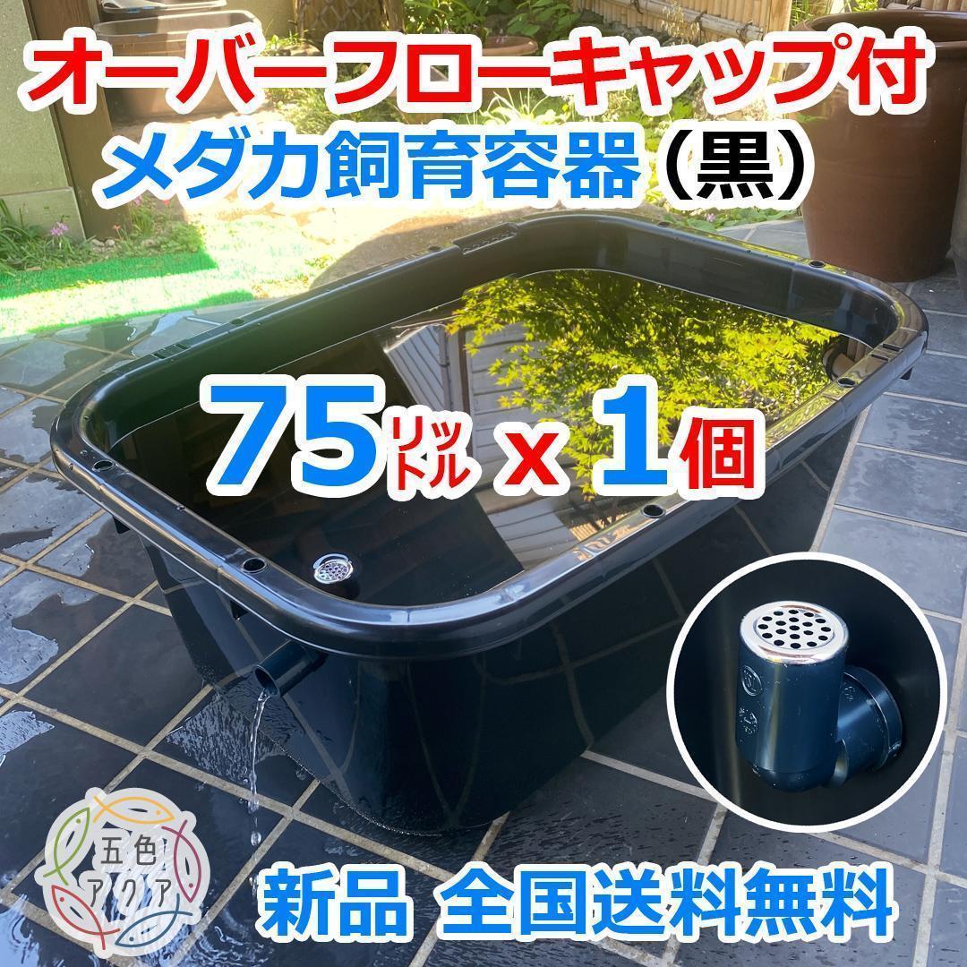 Amazon | 五色アクア メダカ飼育容器 35リットル 黒