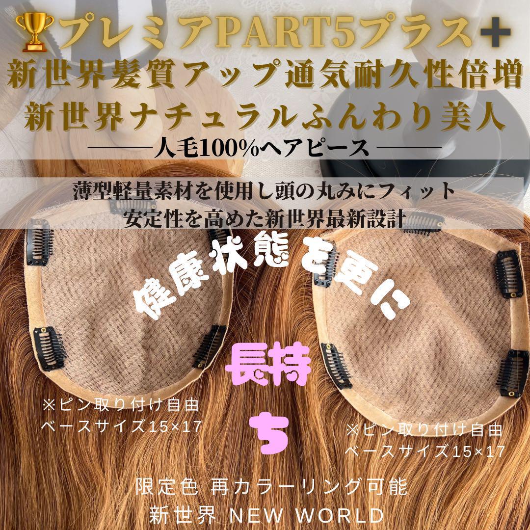 新世界プレミア真皮シリーズ★全人毛　ヘアピース　ウィッグ　12*14総手植45㌢
