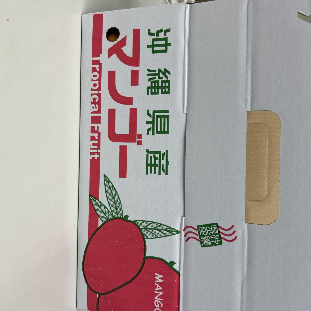 沖縄県産 完熟ミニマンゴー 約1.5kg - メルカリ