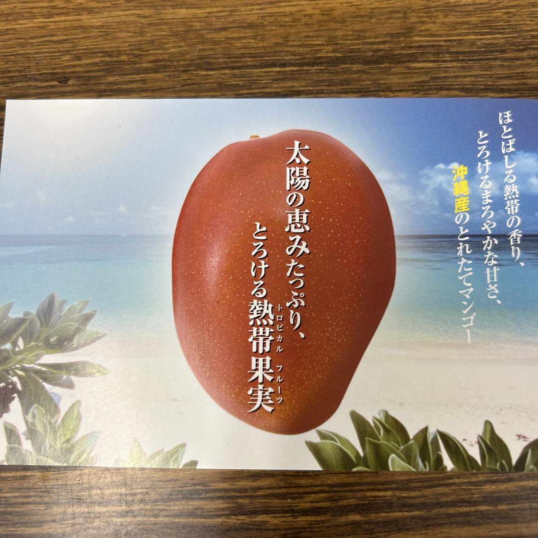 沖縄県産 完熟ミニマンゴー 約1.5kg - メルカリ