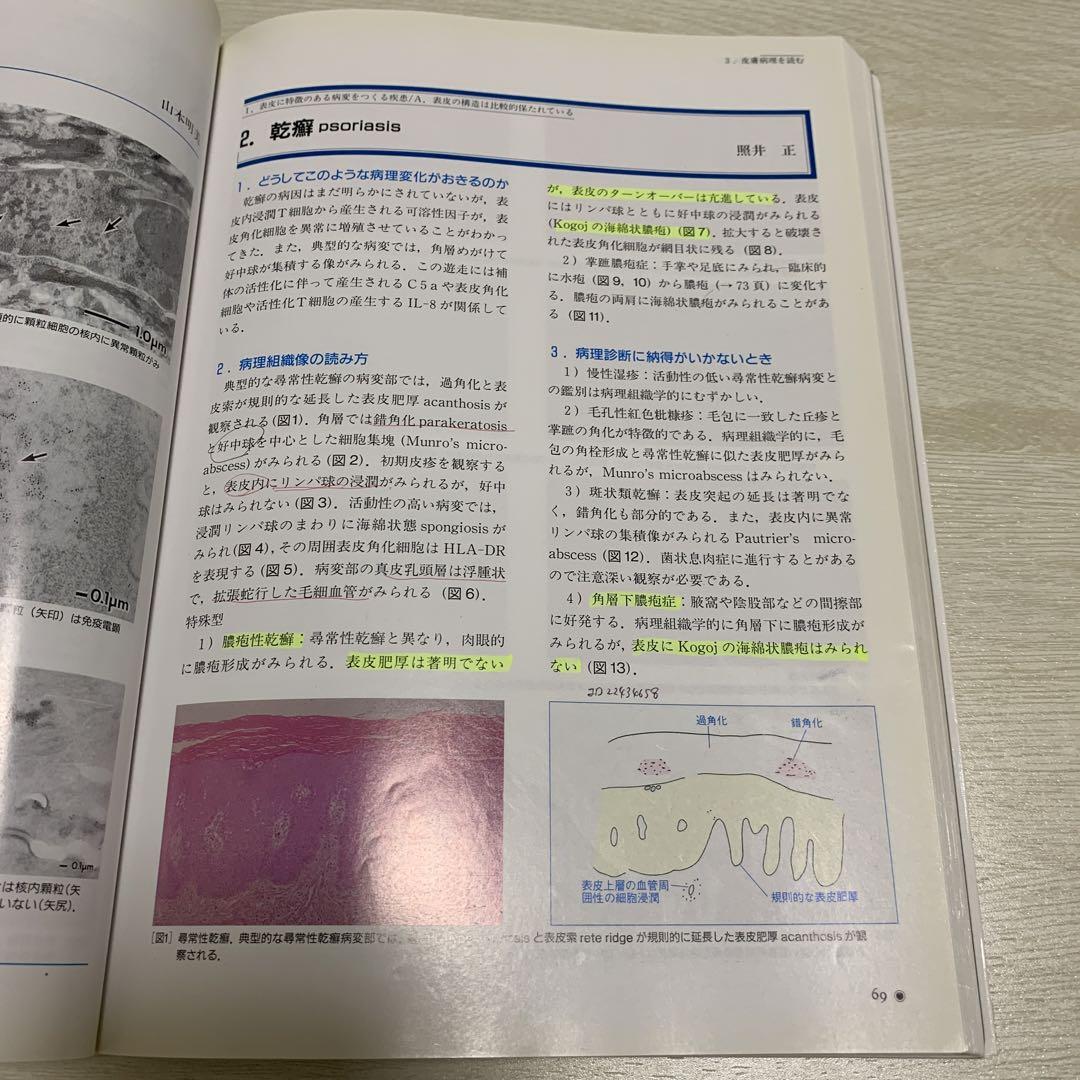 皮膚病理を読む : 皮膚病理がみえてくる