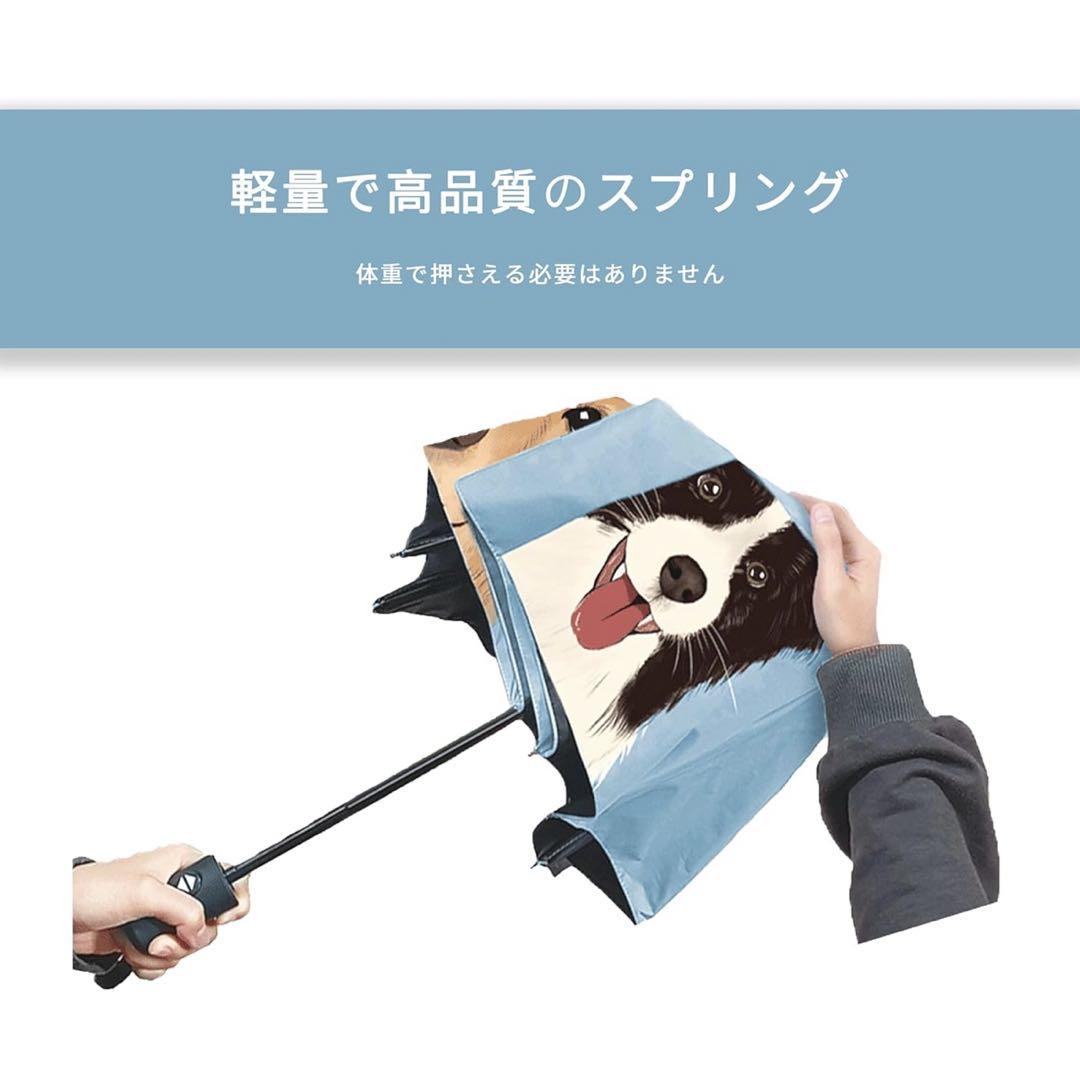 犬
