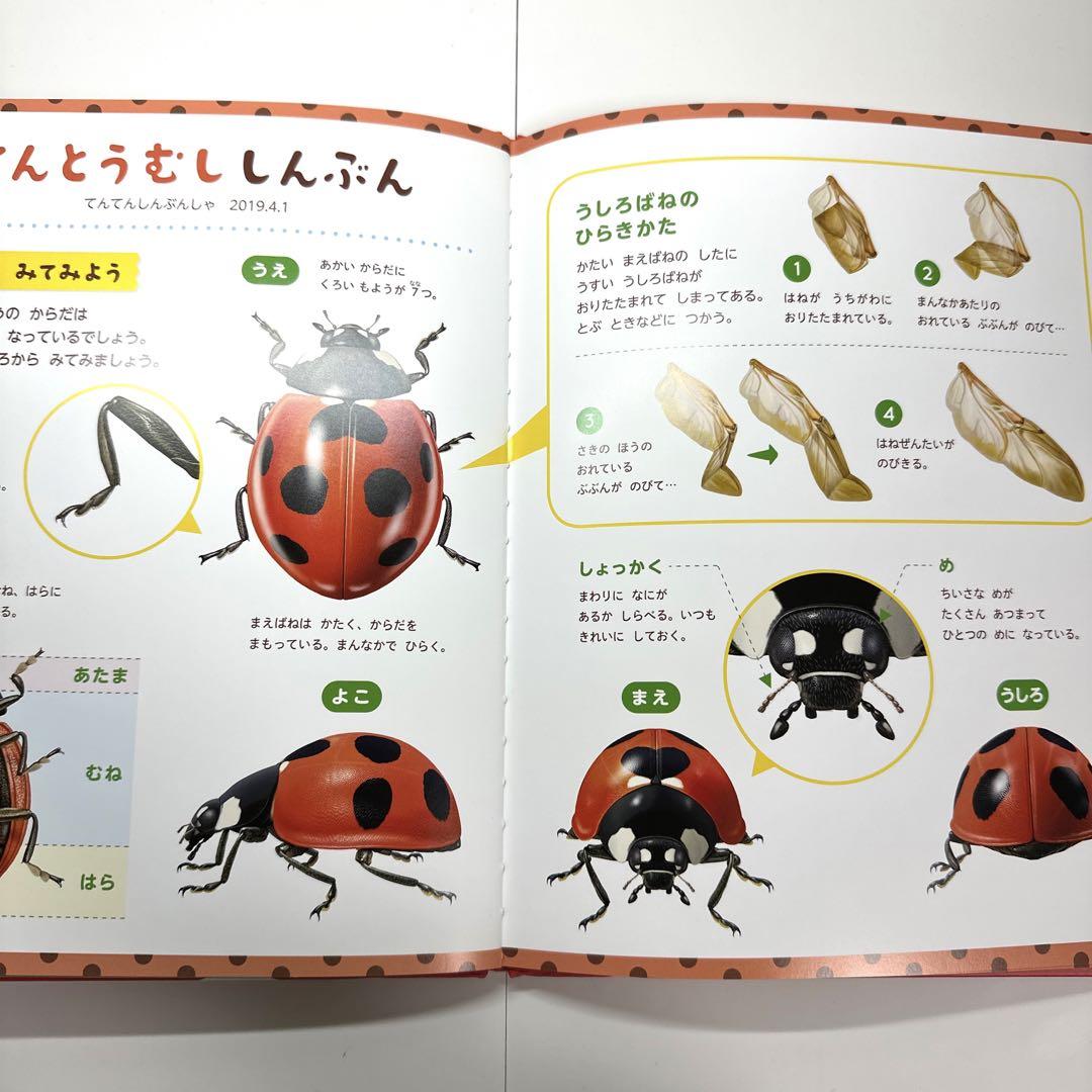 2点購入150円引】キンダーブック しぜん ちょう 『2023年4月号