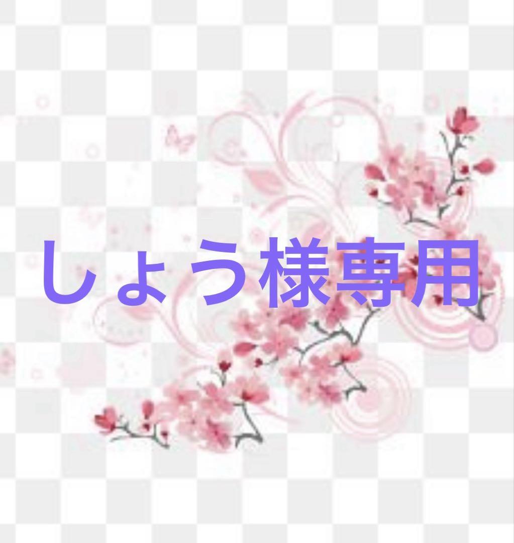 しょう