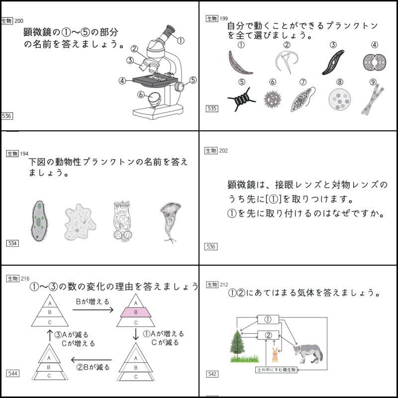 専用出品 暗記カード 中学受験 コアプラス サピックス 予習