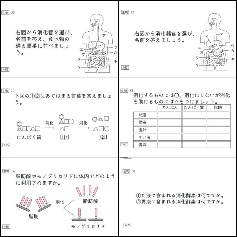 専用出品 暗記カード 中学受験 コアプラス サピックス 予習