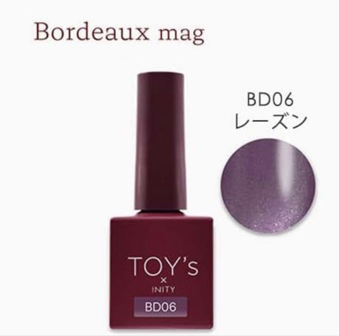 TOY'S ネイルカラー 5色セット　マグネット　ジェルネイル　セルフネイル