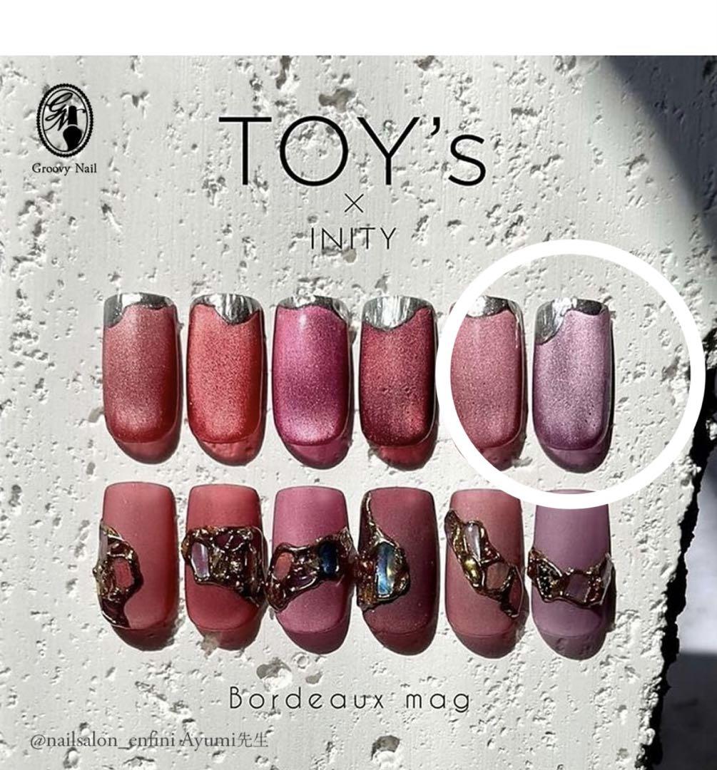 TOY'S ネイルカラー 5色セット　マグネット　ジェルネイル　セルフネイル