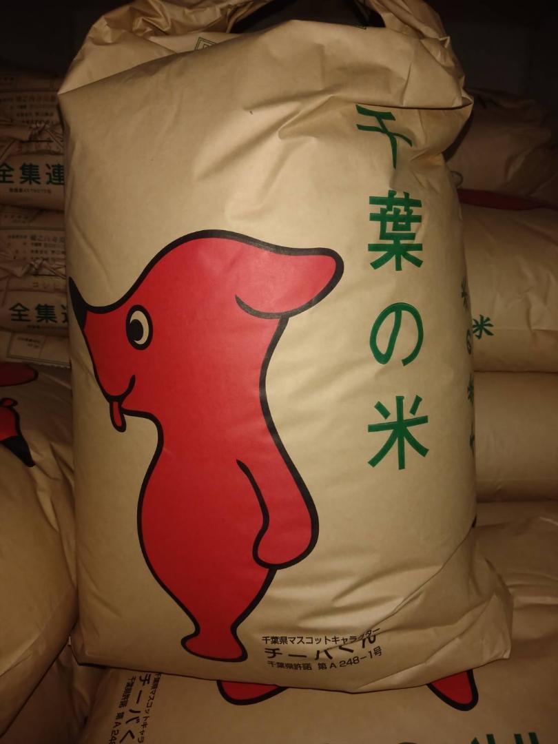 令和6年千葉県産　コシヒカリ　無洗米10㎏　seaです。