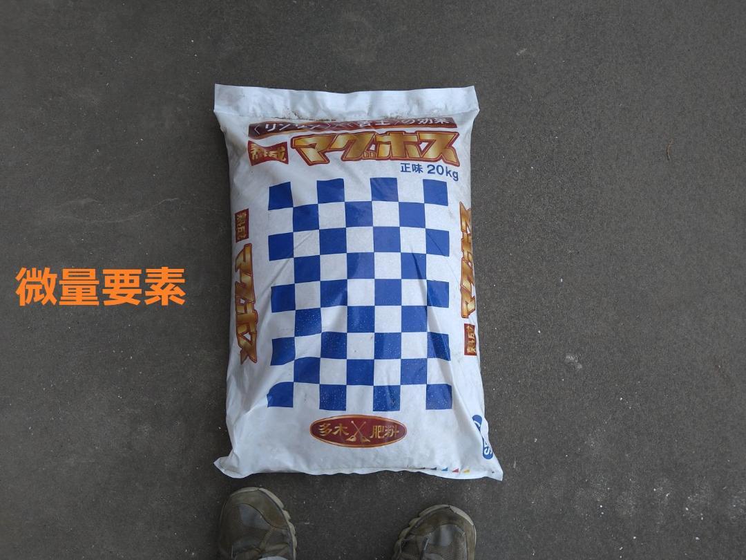 令和6年千葉県産　コシヒカリ　無洗米10㎏　seaです。