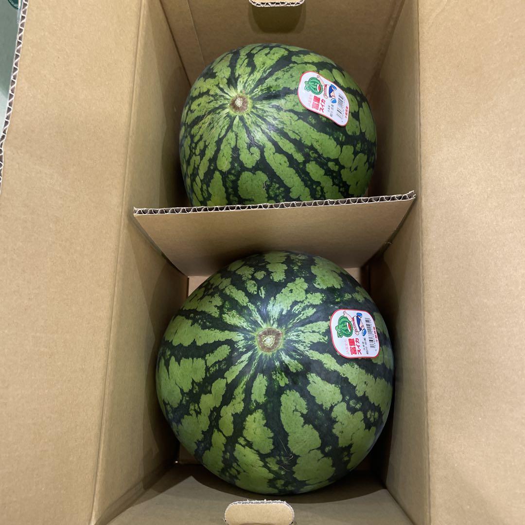 0643千葉県産富里大玉スイカC品Lサイズ1箱2玉入り