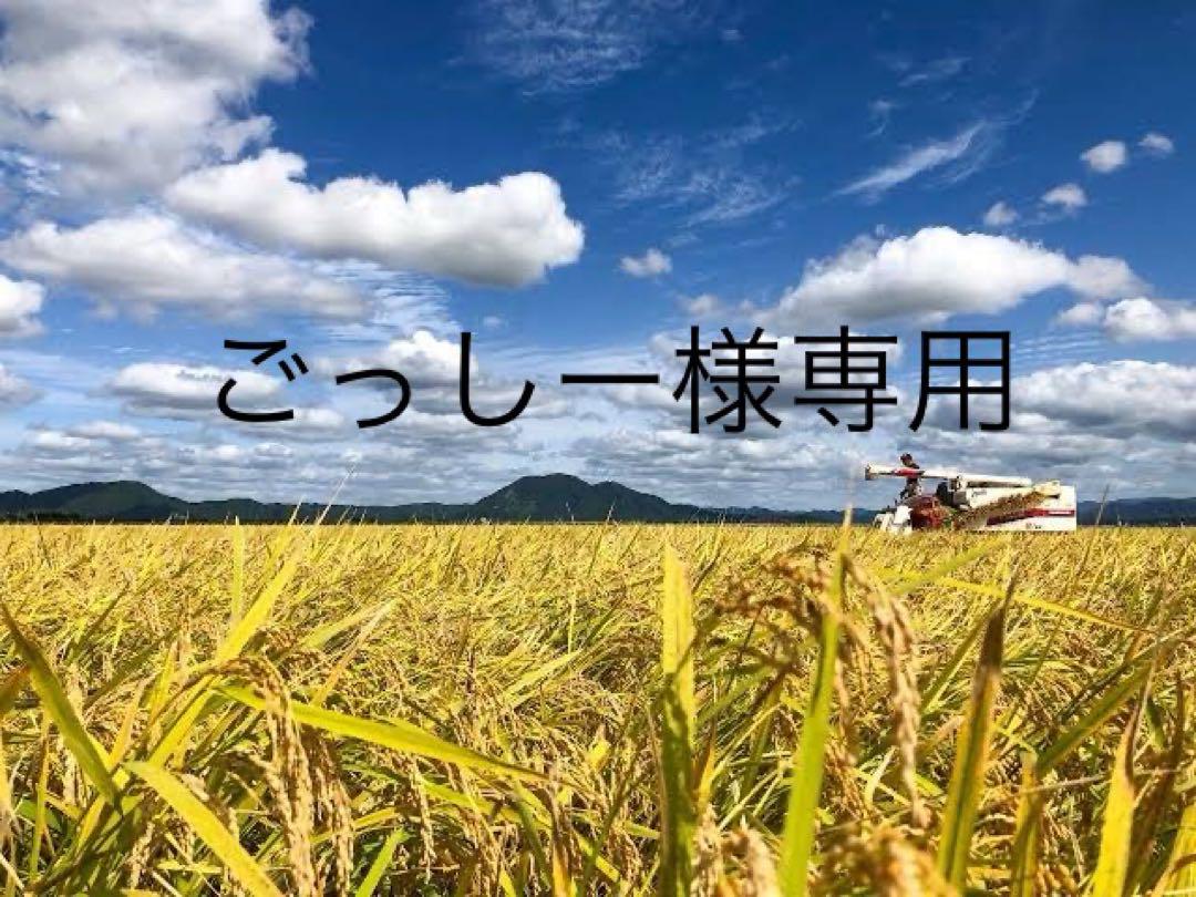 ごっしー様専用　つや姫　玄米　30kg